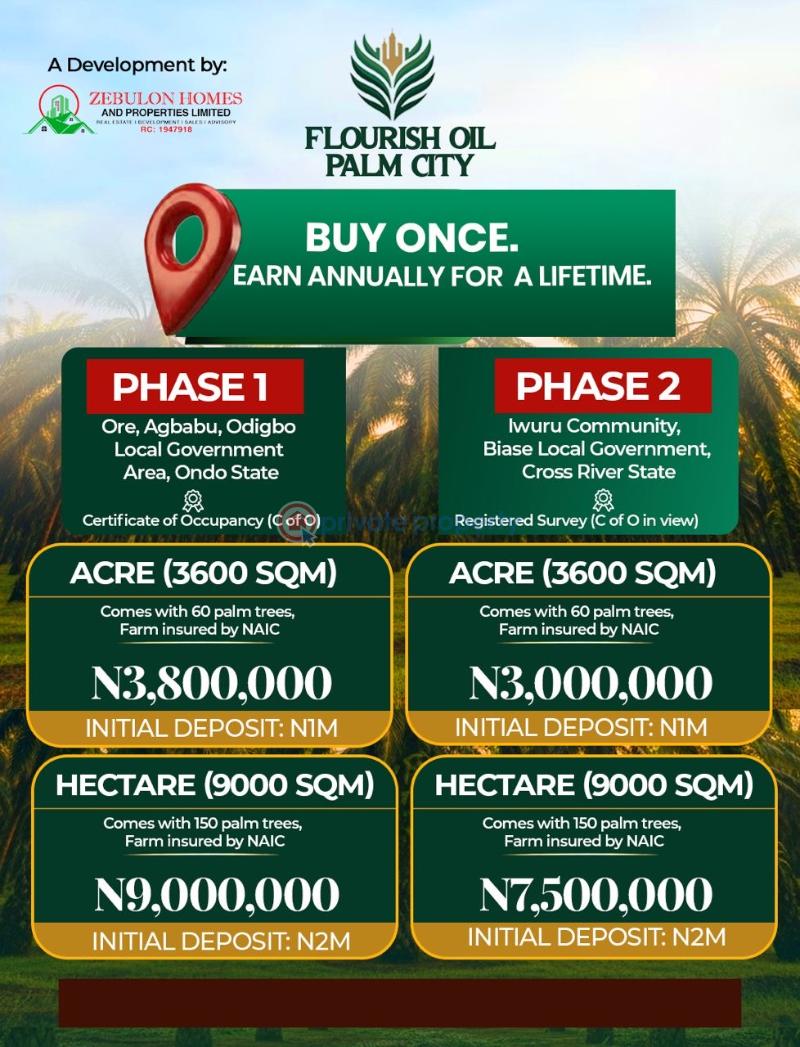 Commercial Land For Sale Flourish Oil Palm City Phase 1 Selling Fast Odigbo Ondo - 0