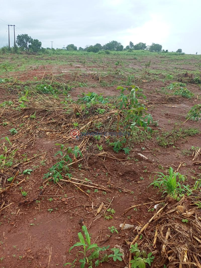 Residential Land For Sale Umuahia North Abia - 3