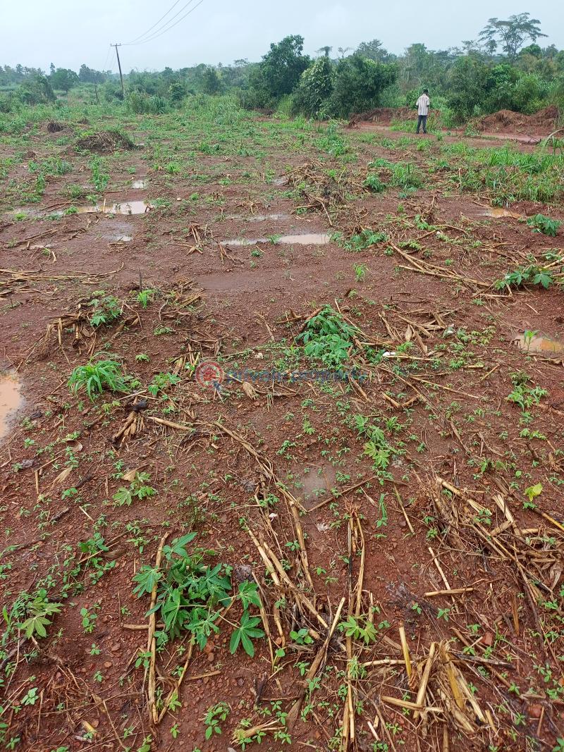Residential Land For Sale Umuahia North Abia - 2