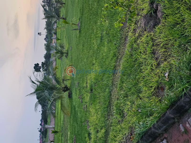 For sale Land Oil City Palace Estate, Located Along Benin Asaba Expressway, Edo Ogwashi, Asaba