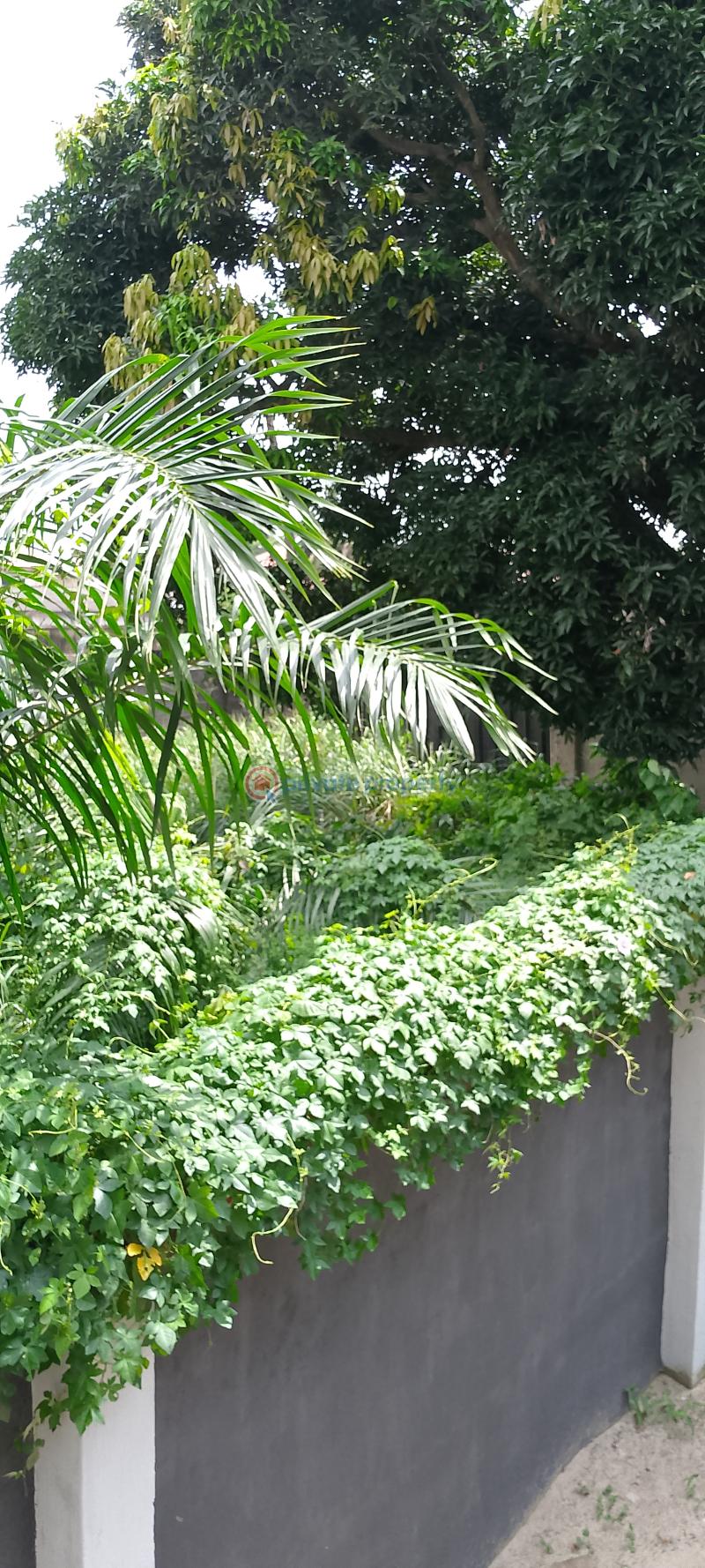 Residential Land For Sale Okeira Ajah Lagos - 1