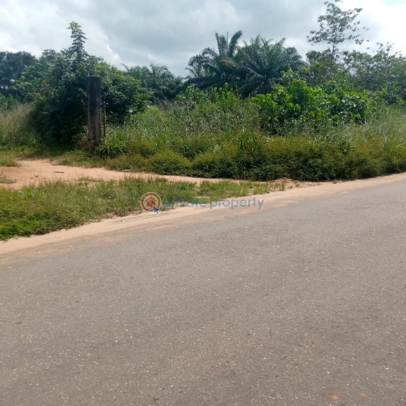 Land For Sale Owerri Mega City Estate Obosima, Port Harcourt Road