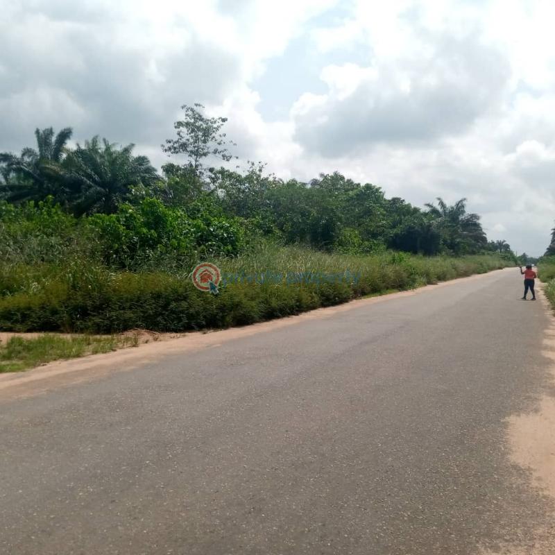 Land For Sale Owerri Mega City Estate Obosima, Port Harcourt Road Owerri Imo Owerri Imo - 6