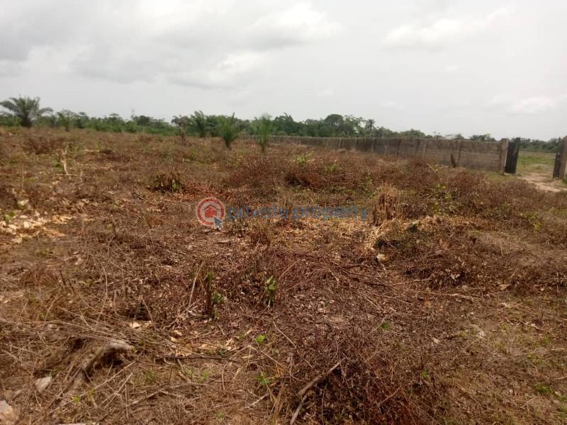 Land For Sale Owerri Mega City Estate Obosima, Port Harcourt Road Owerri Imo Owerri Imo - 2