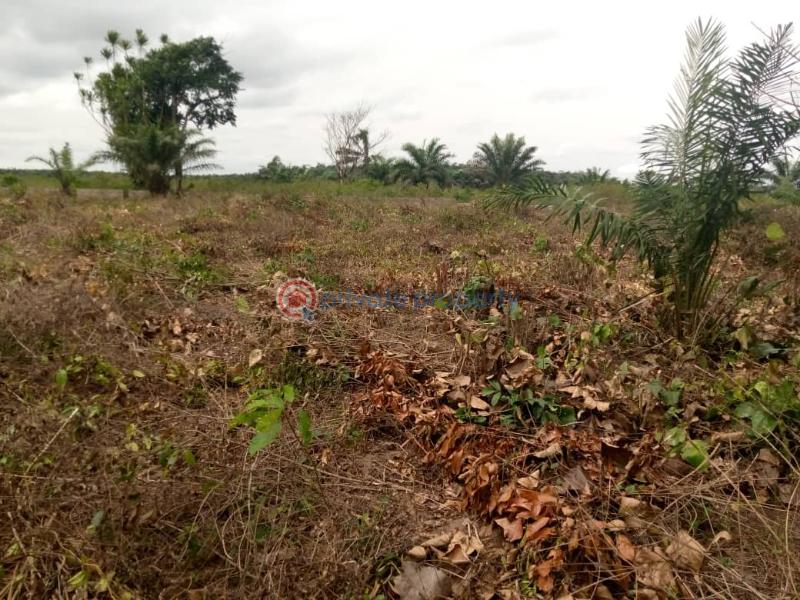Land For Sale Owerri Mega City Estate Obosima, Port Harcourt Road Owerri Imo Owerri Imo - 4