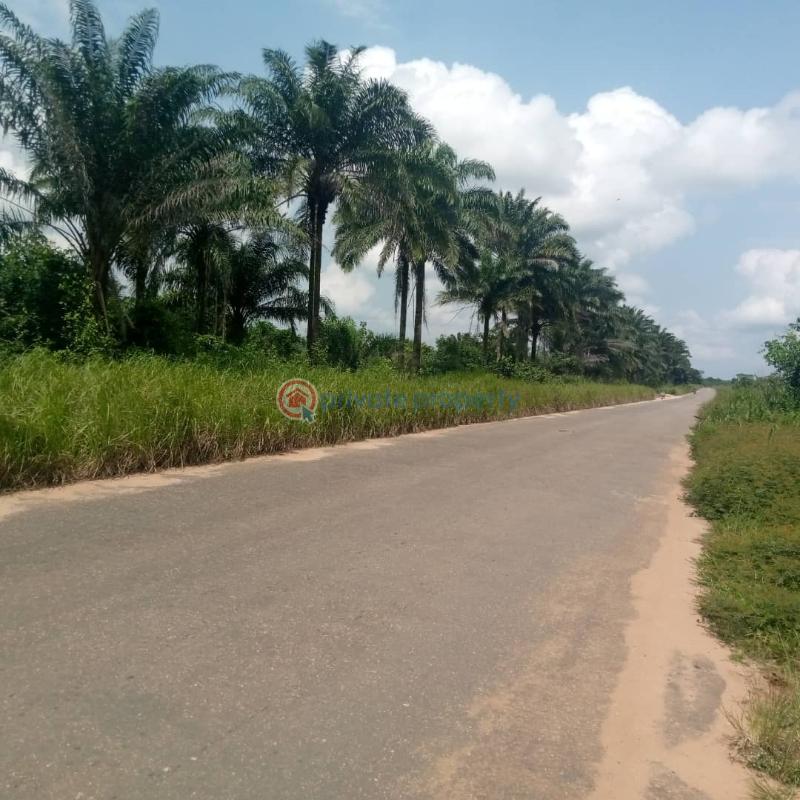 Land For Sale Owerri Mega City Estate Obosima, Port Harcourt Road Owerri Imo Owerri Imo - 5