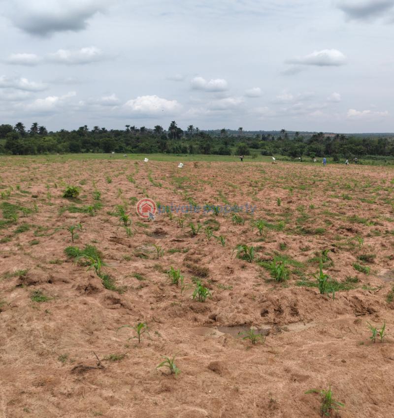 Mixed use Land For Sale Lavida Prime Estate Directly Facing Road Ogun Ogun area  - 4