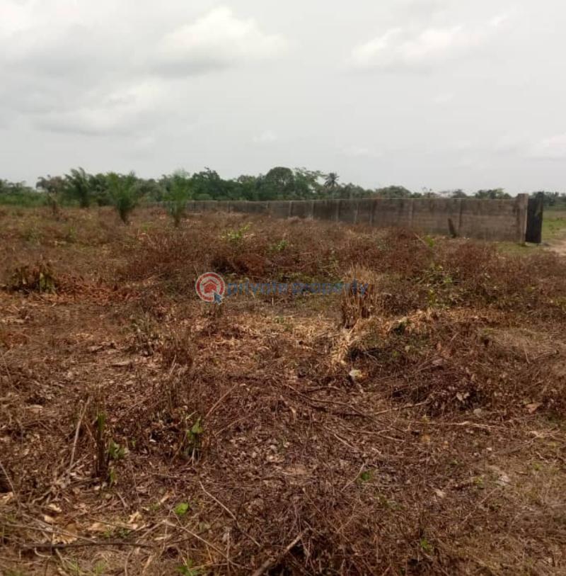 Mixed use Land For Sale Fortune Gardens Estate Obosima Owerri Imo - 4