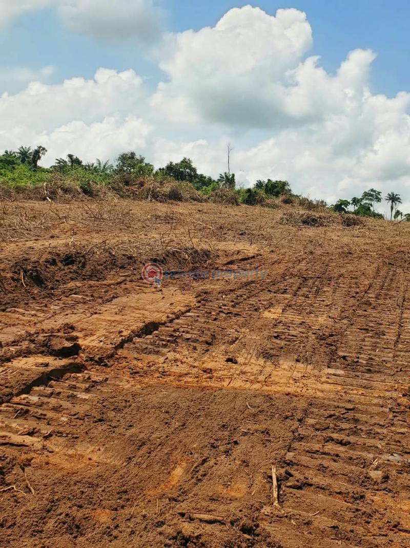 Residential Land For Sale Ajebo , Obafemi Owode Ajebo Obafemi Owode Ogun - 11