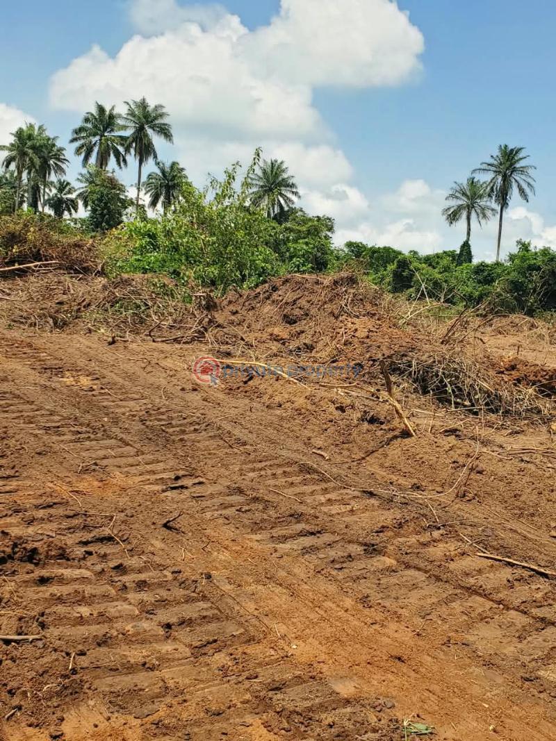 Residential Land For Sale Ajebo , Obafemi Owode Ajebo Obafemi Owode Ogun - 8