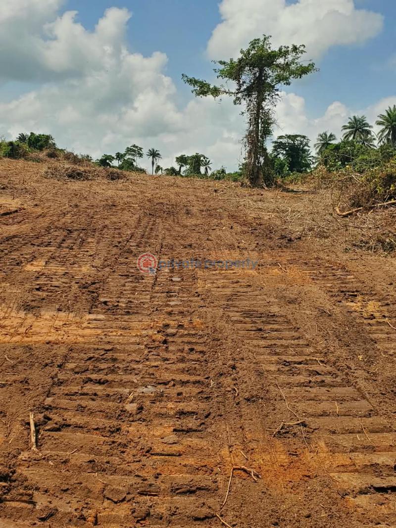 Residential Land For Sale Ajebo , Obafemi Owode Ajebo Obafemi Owode Ogun - 10