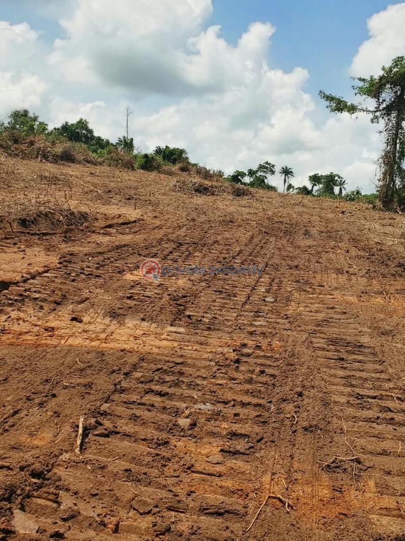 Residential Land For Sale Ajebo , Obafemi Owode Ajebo Obafemi Owode Ogun - 9