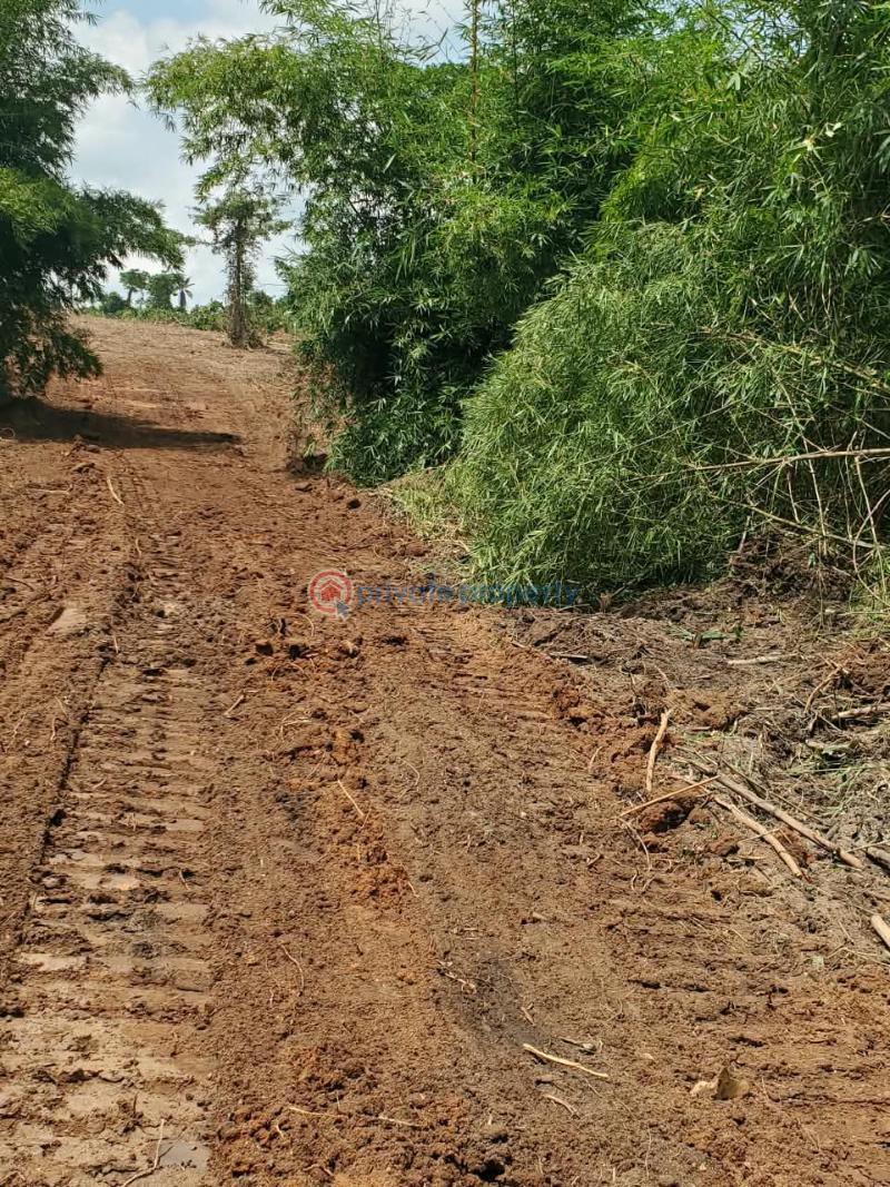 Residential Land For Sale Ajebo , Obafemi Owode Ajebo Obafemi Owode Ogun - 5