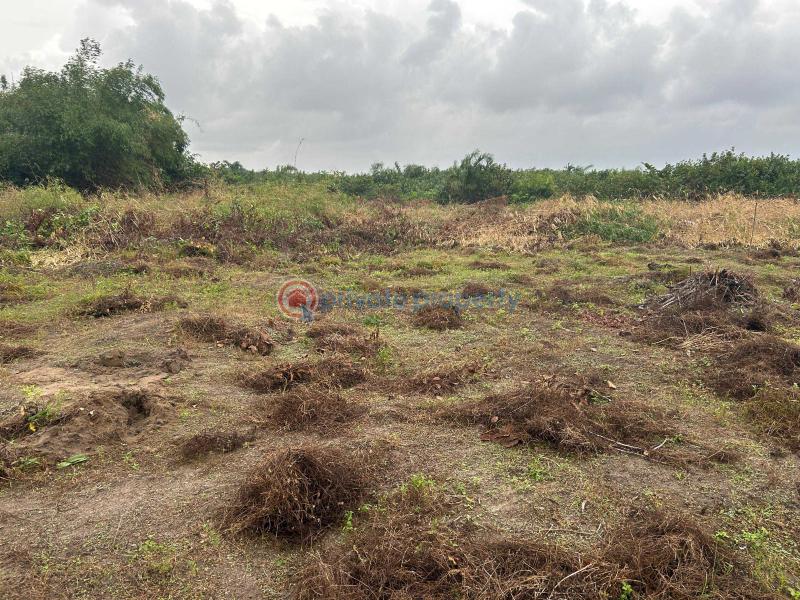 Residential Land For Sale Fountain Residences With 500% Roi Very Close Dangote Refinery La Campaigne Tropicana Ibeju-Lekki Lagos - 8