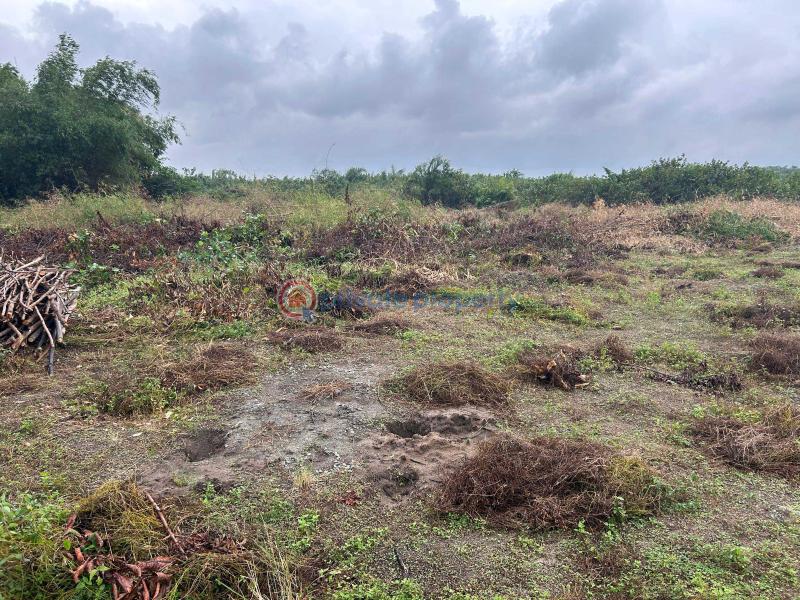 Residential Land For Sale Fountain Residences With 500% Roi Very Close Dangote Refinery La Campaigne Tropicana Ibeju-Lekki Lagos - 1