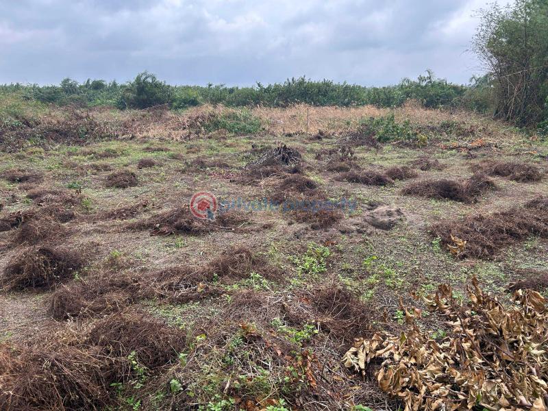 Residential Land For Sale Fountain Residences With 500% Roi Very Close Dangote Refinery La Campaigne Tropicana Ibeju-Lekki Lagos - 3