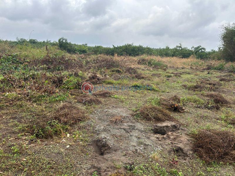 Residential Land For Sale Fountain Residences With 500% Roi Very Close Dangote Refinery La Campaigne Tropicana Ibeju-Lekki Lagos - 9