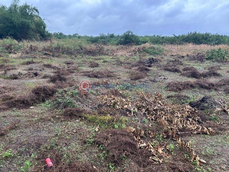 Residential Land For Sale Fountain Residences With 500% Roi Very Close Dangote Refinery La Campaigne Tropicana Ibeju-Lekki Lagos - 2