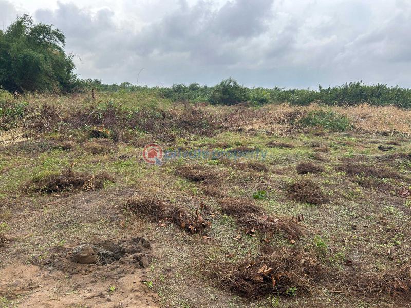 Residential Land For Sale Fountain Residences With 500% Roi Very Close Dangote Refinery La Campaigne Tropicana Ibeju-Lekki Lagos - 5