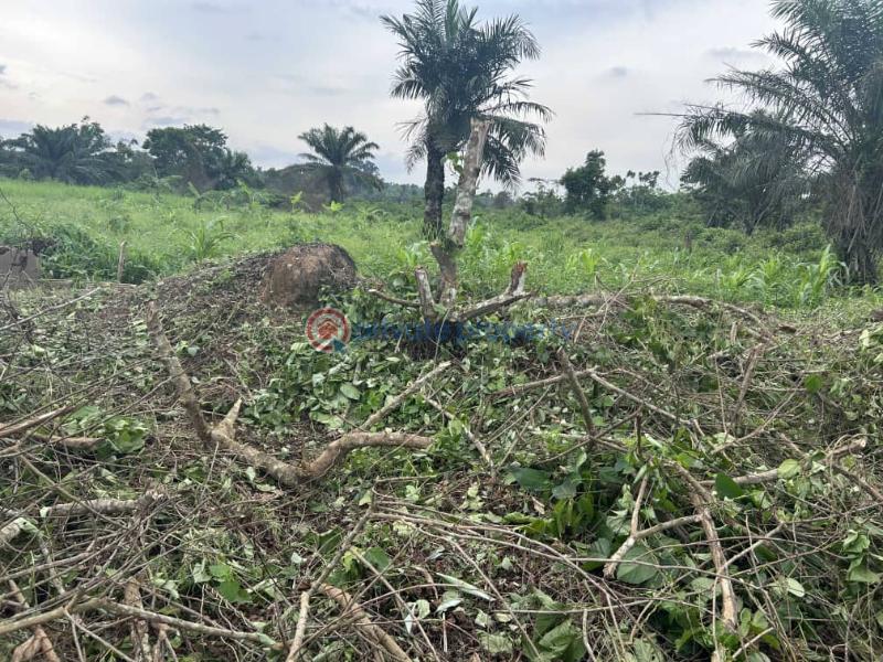 Mixed use Land For Sale Tomoba Epe Lagos - 6