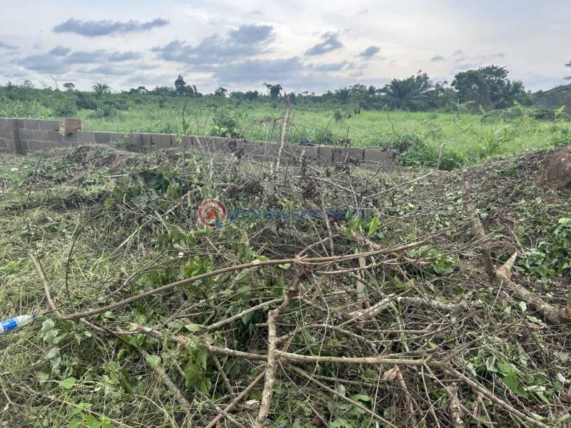 Mixed use Land For Sale Tomoba Epe Lagos - 3