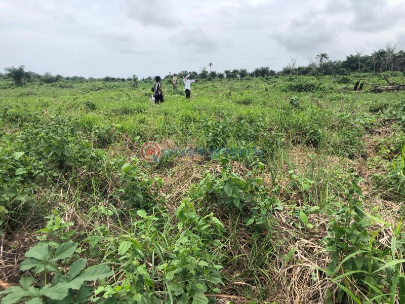 Residential Land For Sale Dream Land Estate, Abraka Ethiope East Delta - 0