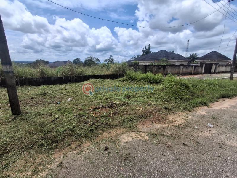 Residential Land For Sale Oruru Igwe , Govt. Station Layout Oguta Oguta Imo