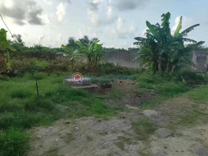Residential Land For Sale Peaceland Estate Etiosa Ogombo Ajah Lagos - 5