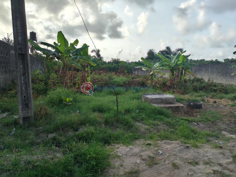 Residential Land For Sale Peaceland Estate Etiosa Ogombo Ajah Lagos - 6