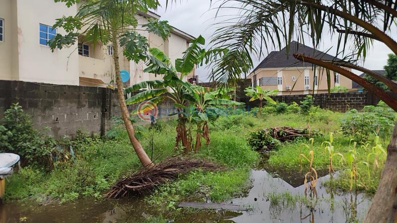 Mixed use Land For Sale Ajah Lagos - 0