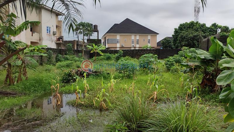 Mixed use Land For Sale Ajah Lagos - 4