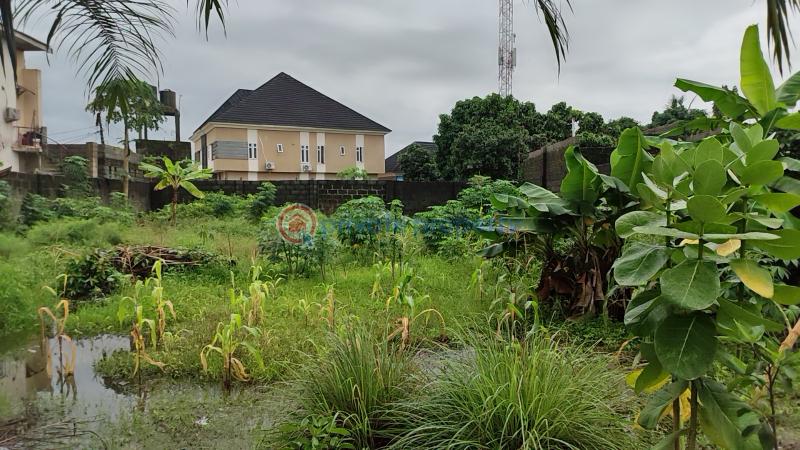 Mixed use Land For Sale Ajah Lagos - 3