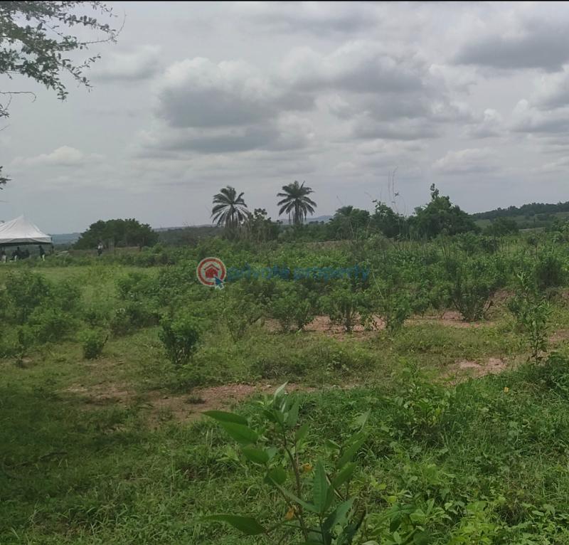 Mixed use Land For Sale Eleran Igbe Ibeju-Lekki Lagos - 7