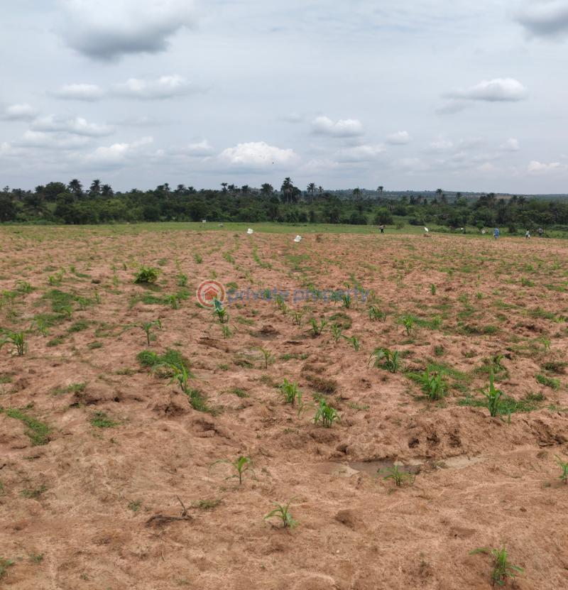 Mixed use Land For Sale Eleran Igbe Ibeju-Lekki Lagos - 5