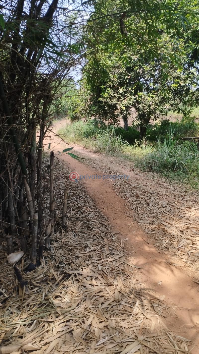 Land For Sale Imota Ikorodu Lagos - 1