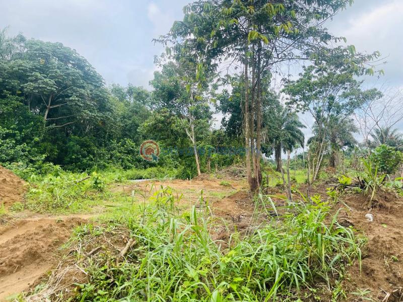 Commercial Land For Sale Owo Town/opposite Capstone University In Owo Nkanu East Enugu - 1