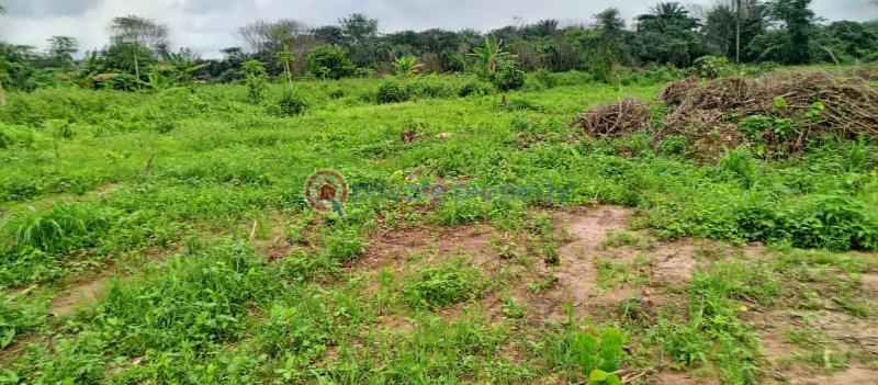 Mixed use Land For Sale Chevron Drive Lekki Lagos - 2