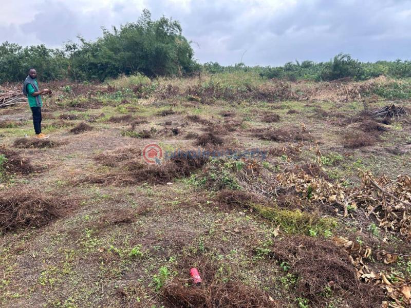 Residential Land For Sale Fountain Resistances With 500% Roi Olomowewe, Oshoroko Community Ibeju-Lekki Lagos - 3