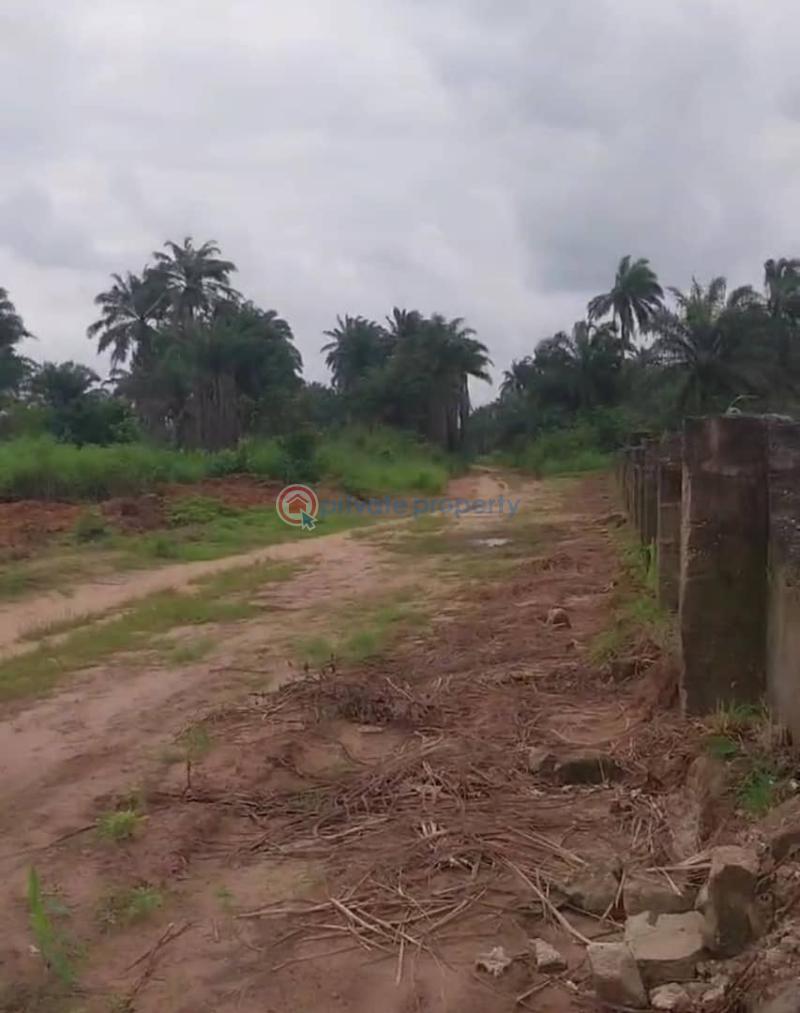 Certificate of occupancy (c of o) - 3 Commercial Land For Sale Ogbor Hill Abia  - 3