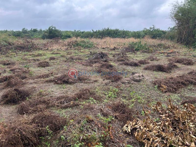 Residential Land For Sale Fountain Resistances With 500% Roi Olomowewe, Oshoroko Community Ibeju-Lekki Lagos - 2