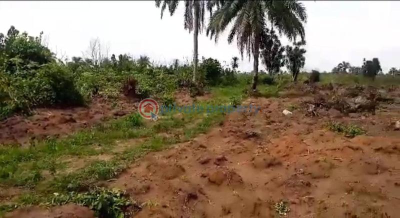 Charisma garden estate abia state with register survey 100%dry land - 7 Residential Land For Sale Ariaria Int'l Market Ikan Power Flour Mill National Institute Of Nigerian Languages Abia  - 7