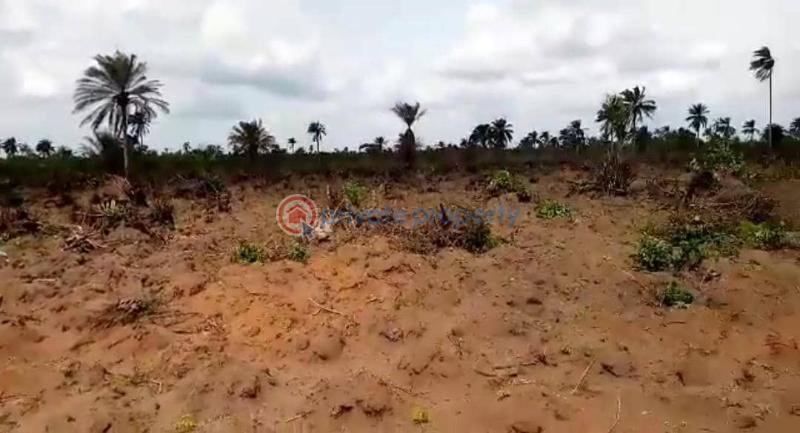 Charisma garden estate abia state with register survey 100%dry land - 8 Residential Land For Sale Ariaria Int'l Market Ikan Power Flour Mill National Institute Of Nigerian Languages Abia  - 8