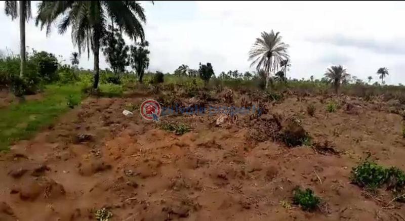 Charisma garden estate obor hills abia state 100% drylandplease - 2 Land For Sale Ariaria Int'l Market Ikan Power Flour Mill National Institute Of Nigerian Languages Abia  - 2