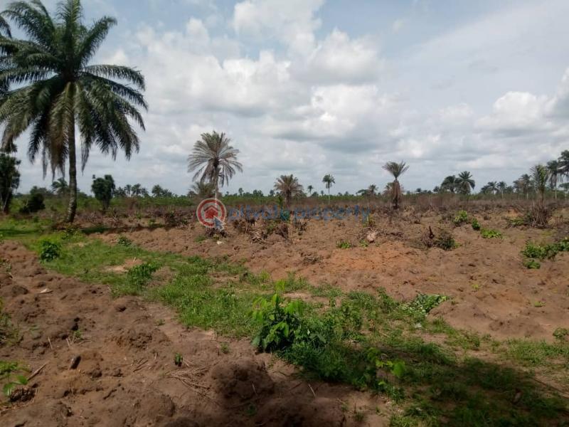Charisma garden estate obor hills abia state 100% drylandplease - 3 Land For Sale Ariaria Int'l Market Ikan Power Flour Mill National Institute Of Nigerian Languages Abia  - 3
