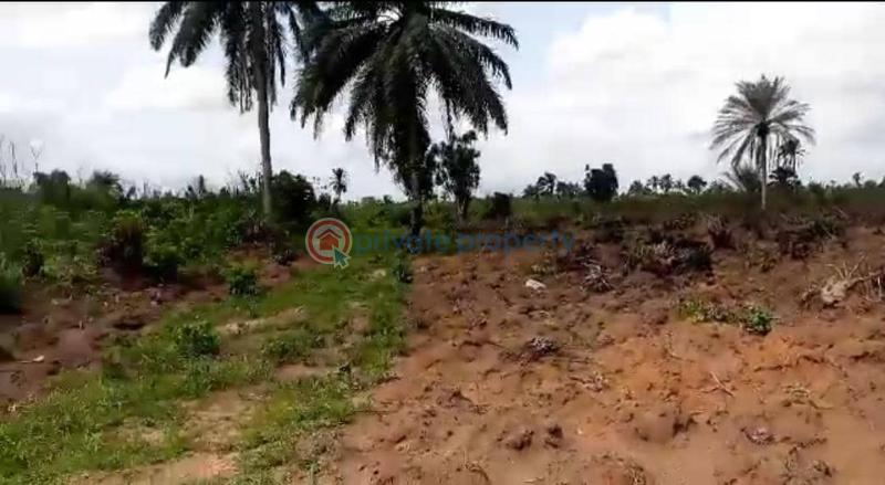 Charisma garden estate obor hills abia state 100% drylandplease - 4 Land For Sale Ariaria Int'l Market Ikan Power Flour Mill National Institute Of Nigerian Languages Abia  - 4