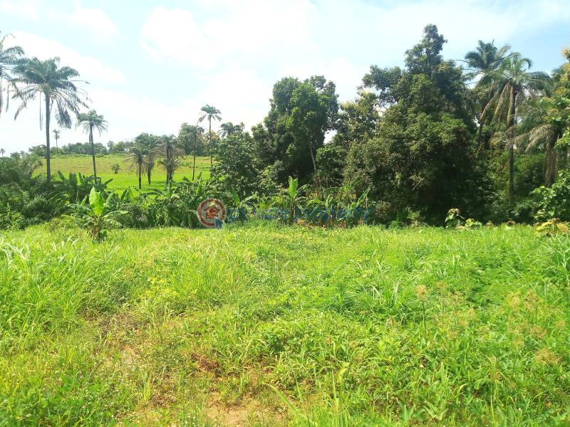 Residential Land For Sale Odobudo Nike Enugu Area 