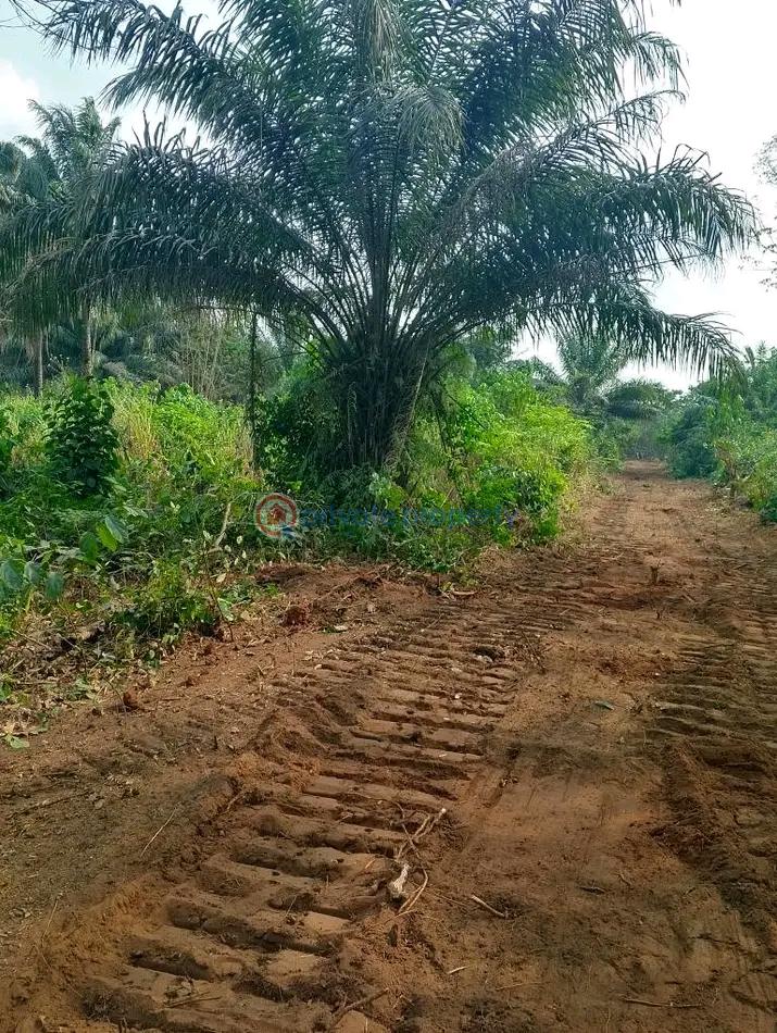 Joint Venture Land For Sale Asaba Delta - 1