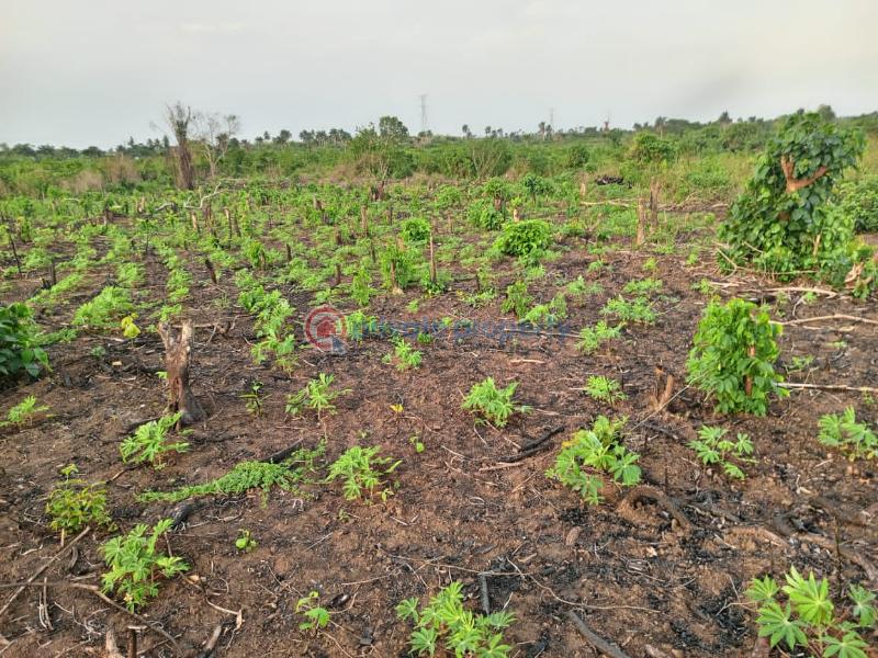 Commercial Land For Sale Western Farm City Offers You The Opportunity To Be A Part Of The Solution To Food Scarcity Iseyin Ibadan Oyo