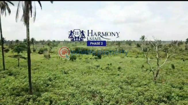 Mixed use Land For Sale Ogwuashi Ukwu Asaba Delta - 2