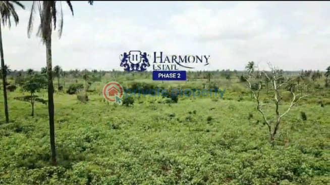 Mixed use Land For Sale Ogwuashi Ukwu Asaba Delta - 1